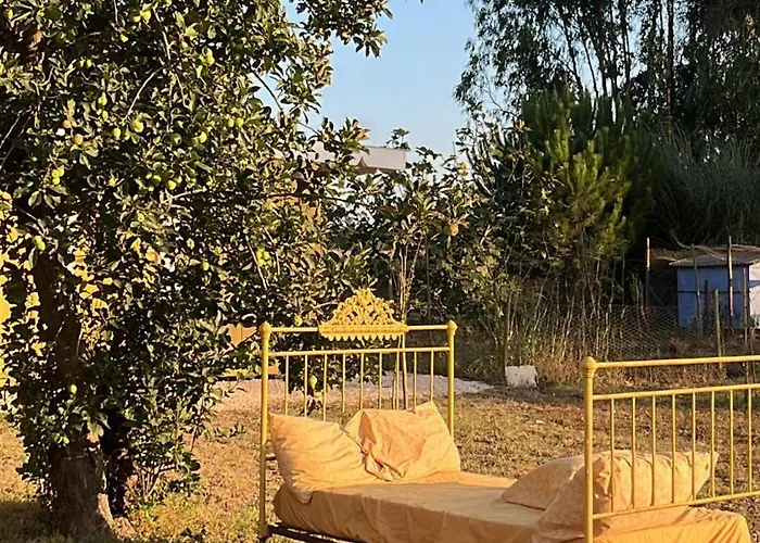 Quintal Alentejano