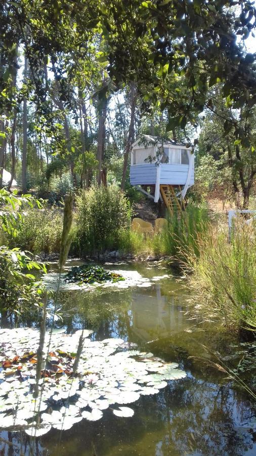 Quintal Alentejano Country house *