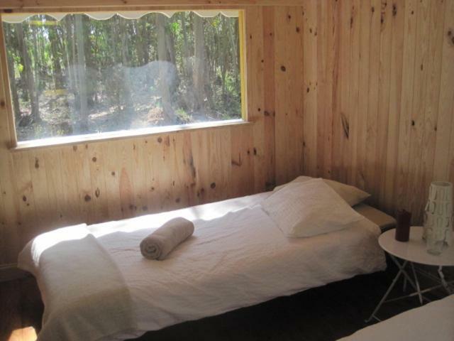 Country house Quintal Alentejano