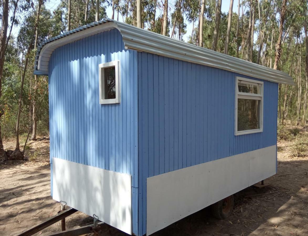 Quintal Alentejano Country house *