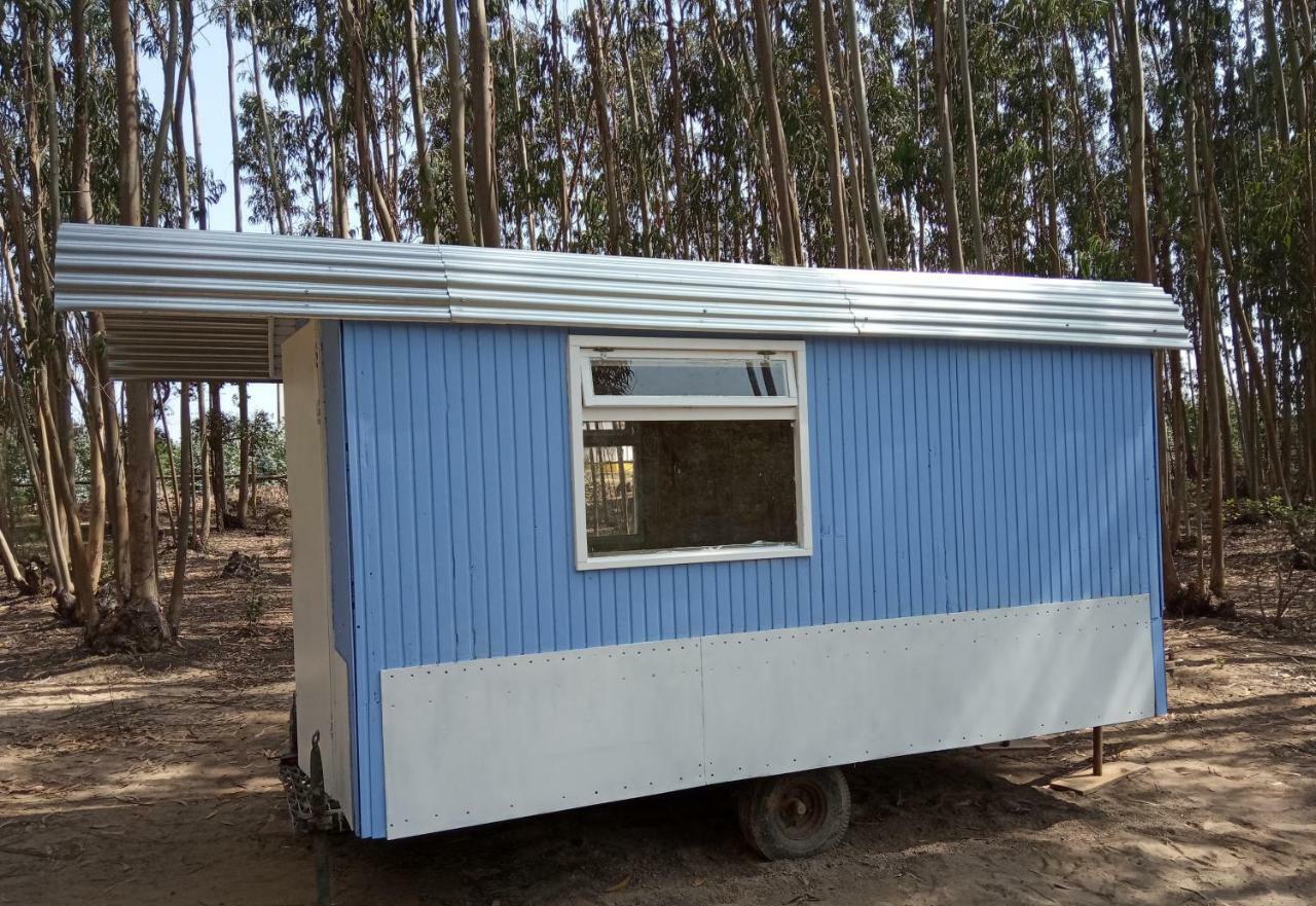 Quintal Alentejano Country house